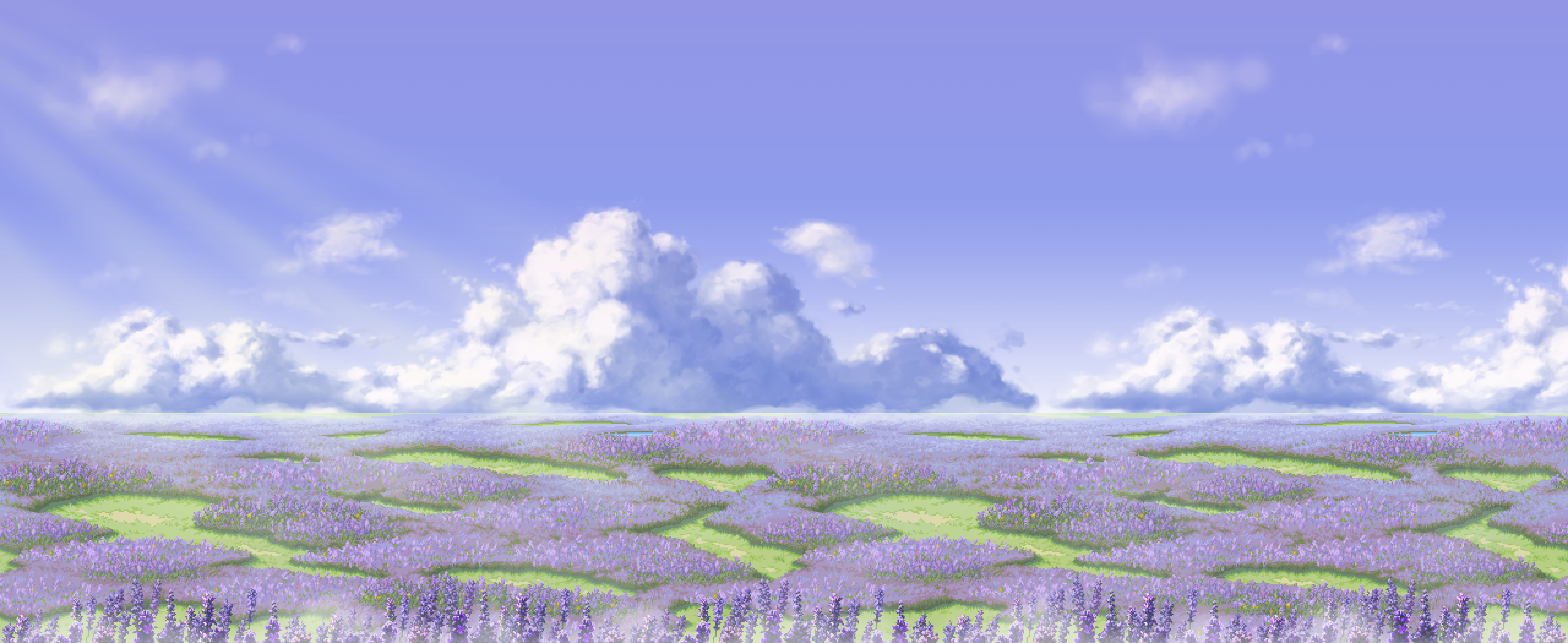 Lavender field during the day